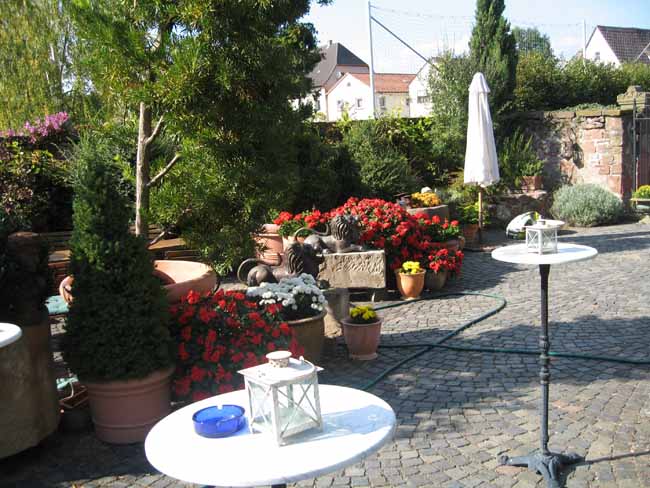 Geburtstag Dorothée Groß 004